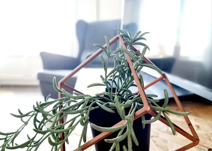 Mas Drevon T3 Parking - à 15mn - Proche Comédie *